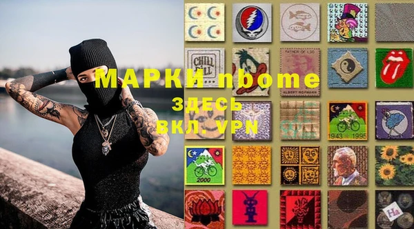 прущие грибы Корсаков