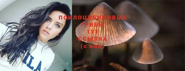 бошки Коряжма