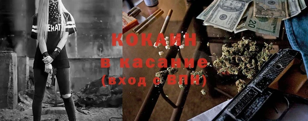 прущие грибы Корсаков