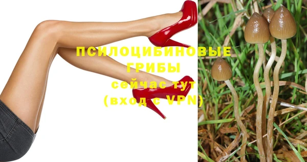 экстази Козельск