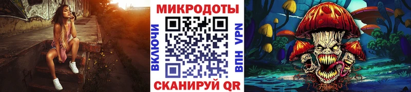 купить наркотики сайты  mega рабочий сайт  Псилоцибиновые грибы Magic Shrooms  Могоча 